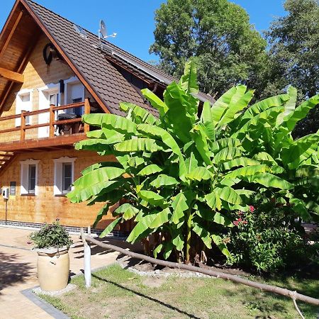 Salus Spreewald - Erholung & Natur - Kolonie  Dış mekan fotoğraf