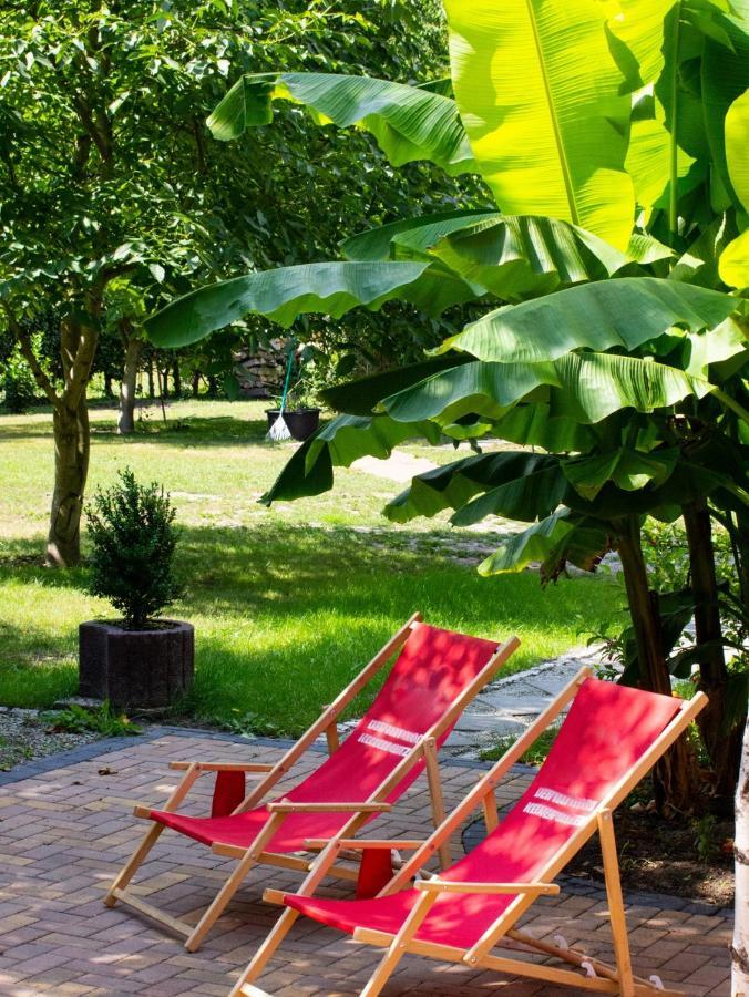Salus Spreewald - Erholung & Natur - Kolonie  Dış mekan fotoğraf
