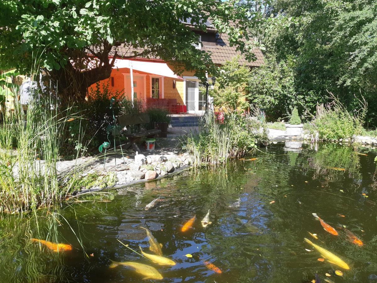 Salus Spreewald - Erholung & Natur - Kolonie  Dış mekan fotoğraf